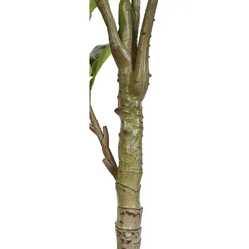 Искусственное растение Fiddle 110 см (DW-04) - фото 4