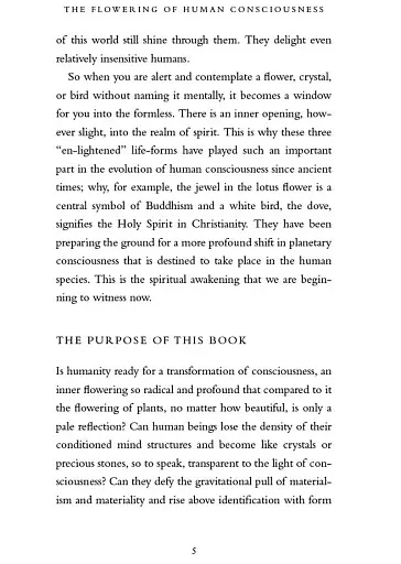 A New Earth - фото 12