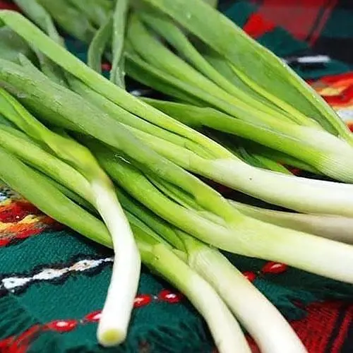 Цибуля на зелень "Зелена пір'їнка" (у банці) ТМ "Весна Органік" 6г (45413) - фото 1