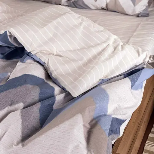 Комплект постільної білизни Viluta євро ранфорс 23226-ev5070 - фото 5