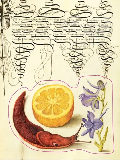 The Esoterica Sticker Book. From Astrology to Tarot - фото 7