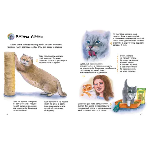 Енциклопедія дошкільника "Коти" Ранок 614039 для найменших - фото 3