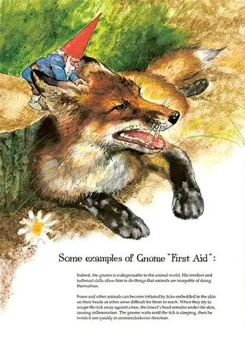 Gnomes - фото 12