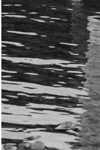 Розлите - фото 10