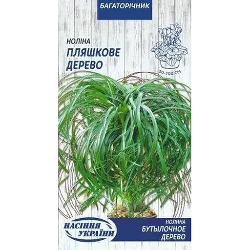 Насіння Ноліна Пляшкове дерево Насіння України кімнатна 4 шт. (746700)