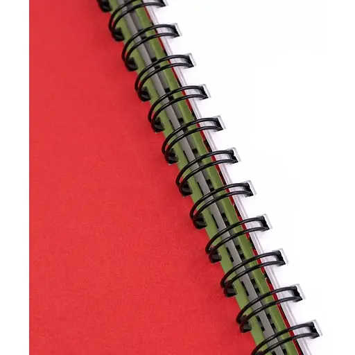 Блокнот на спіралі A4 Rosa Studio (21х29.7см) 100г/м2 80л фісташковий - фото 6