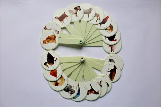 Віяло Домашні тварини, 20 тваринок, 2 шт. в упаковці