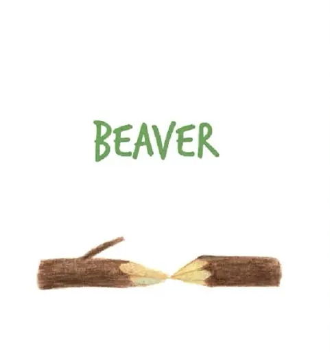 Forest Animals - фото 7