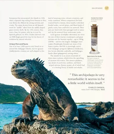 The Ocean Book: The Stories, Science, and History of Oceans - фото 8