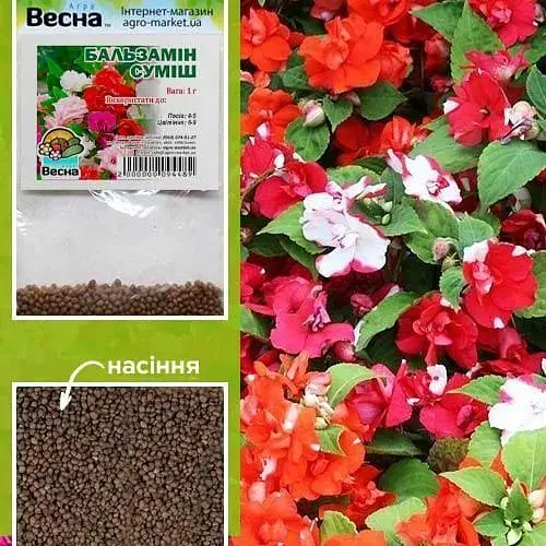 Бальзамин смесь (Зипер) Весна 1г (12087) - фото 2