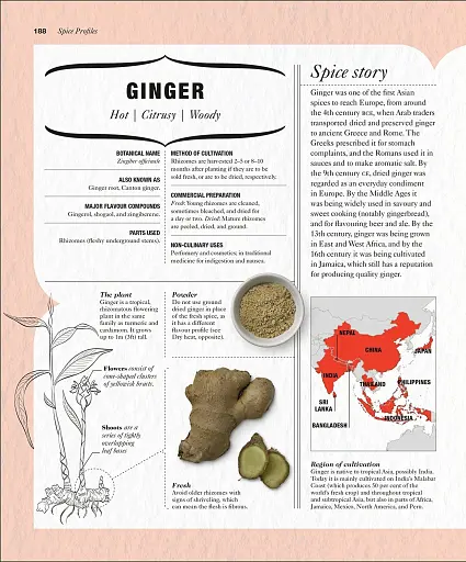 The Science of Spice - фото 11