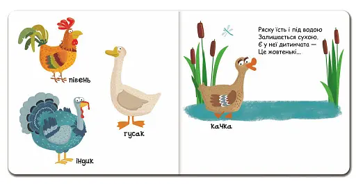 Сторінки-цікавинки. Тварини на фермі - фото 4