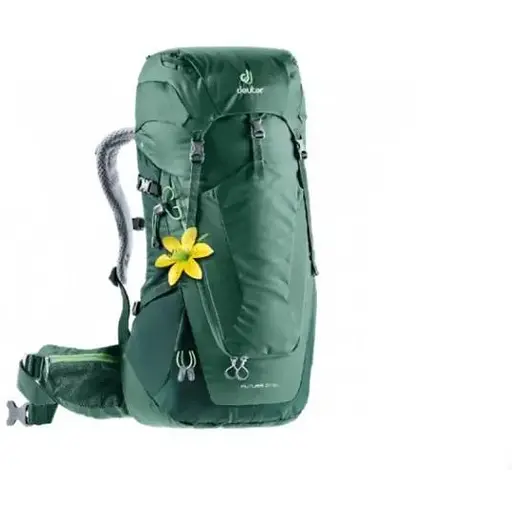 Рюкзак Deuter Futura 24 SL Seagreen-Forest (1052-3400218 2247 sam)