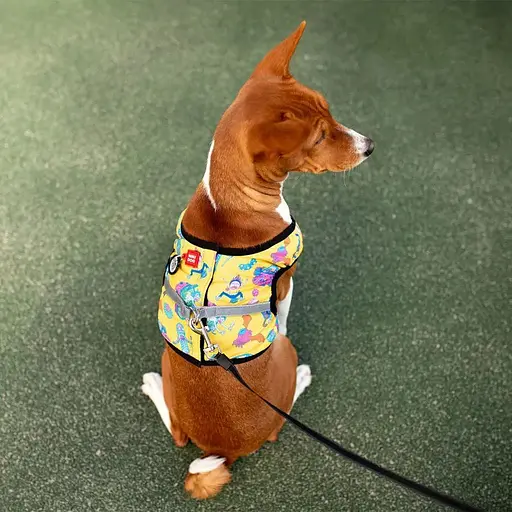 Шлея для собак Waudog Clothes м'яка з QR-паспортом, малюнок "Рік та Морті 3", S2 - фото 5