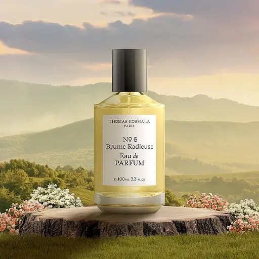 Тестер Thomas Kosmala No 6 Brume Radieuse парфумована вода 100 ml - фото 2