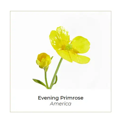 Міцелярна вода Onagrine очищувальна 200 мл (P01510) - фото 3