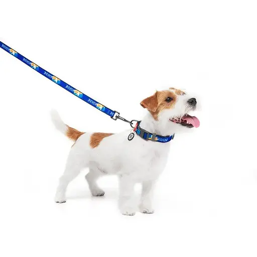 Повідець для собак Waudog Nylon нейлоновий малюнок "Прапор", розмір S - фото 3