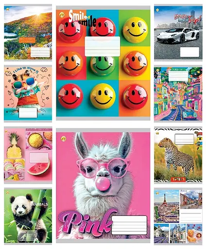 Зошити учнівські 24 аркуша клітинка Тверда Мікс 1, 20 шт. в упаковці