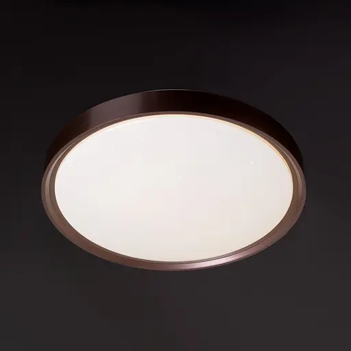 Светильник настенный-потолочный для ванной Brille W-629/20W NW - фото 4