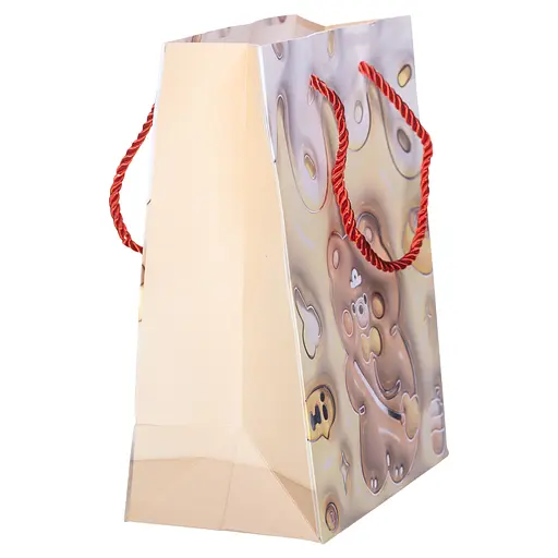 Подарунковий пакет Yiwu 18х10х22.5 см HP-10359-20 - фото 9