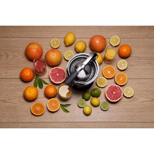 Соковыжималка для цитрусовых (цитрус-пресс) Gorenje CJ100HE - фото 2