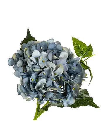 Букет "Гортензія великолиста", аква 45 см Elisey - фото 2