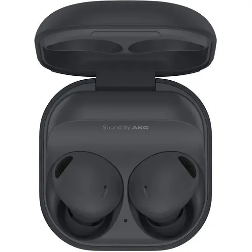 TWS-наушники Samsung Galaxy Buds 2 Pro Graphite (SM-R510NZAA)