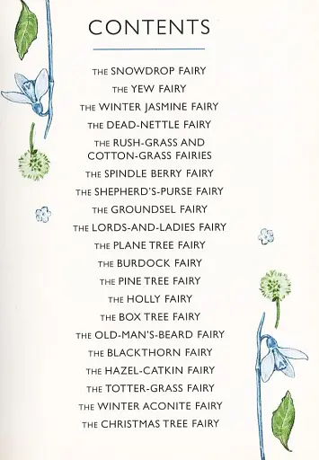 Flower Fairies of the Winter - фото 3