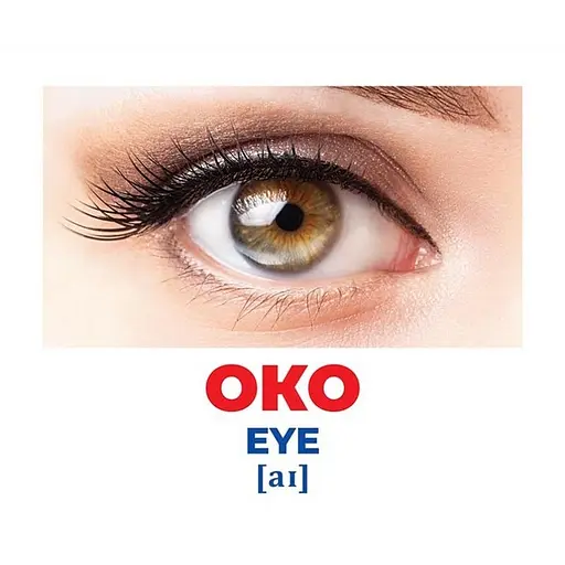 Набір розвиваючих карток Геній з пелюшок "Будова структура" Ранок 10107202, 17 карток - фото 2