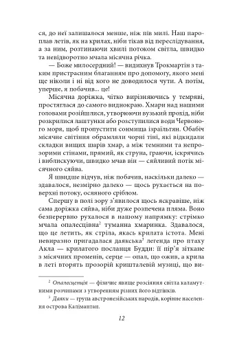 Місячна заплава - фото 13