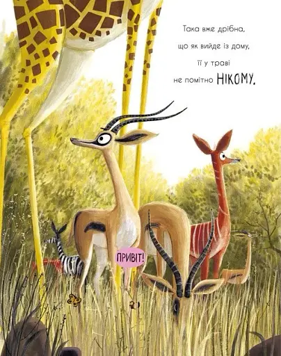 Як знайти лева? - фото 13