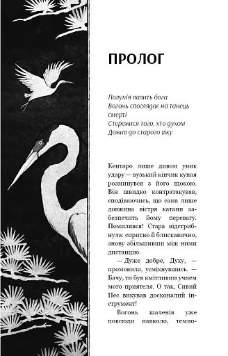 Начерки сталі. Пані Тиша. Книга 2 - фото 5