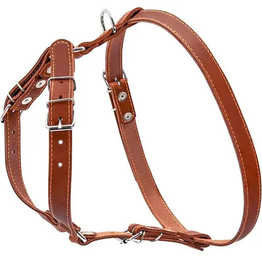 Шлея Collar одинарна для малих та середніх собак (ширина 20мм, А:40-56см, В:57-65см) коричневий - фото 2