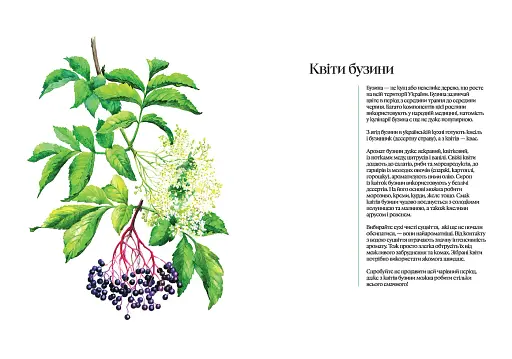 Кулінарний записник Весна - фото 5