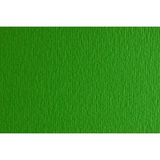 Папір для дизайну Fabriano Elle Erre А3 (29.7x42см) №11 verde 220г/м2 зелений дві текстури