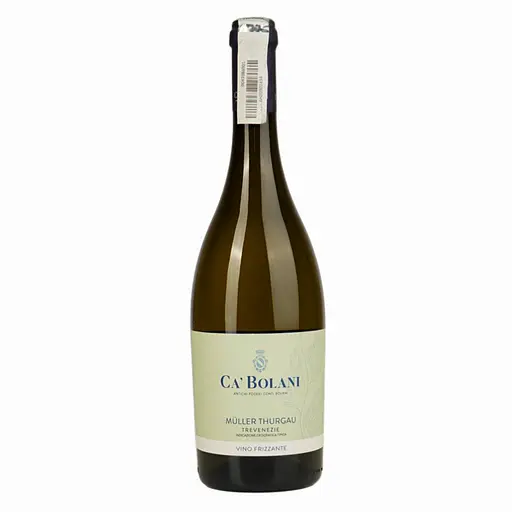 Вино игристое Tenuta Ca'Bolani Muller Thurgau Frizzante белое сухое 10.5% 0.75 л - фото 1