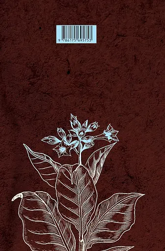 Книга Баришник дур-зіллям - Джон Барт (Темпора) - фото 2