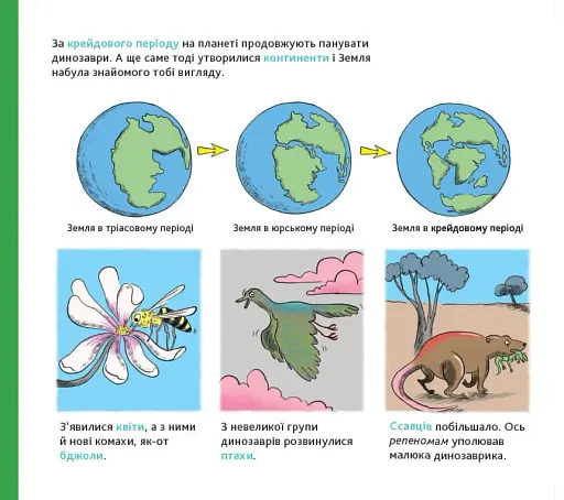 Енциклопедія Історія життя від великого вибуху до тебе - фото 7