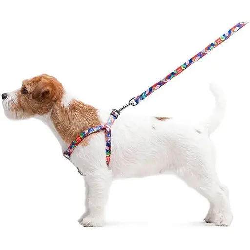 Повідець для собак Waudog Nylon нейлоновий, малюнок "Вітраж" - фото 4