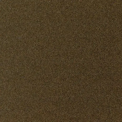 Бумага для пастели Sennelier с абразивным покрытием, 360 г/м, 65x50 см, Землянистая - фото 2