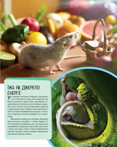 Тварини - фото 4