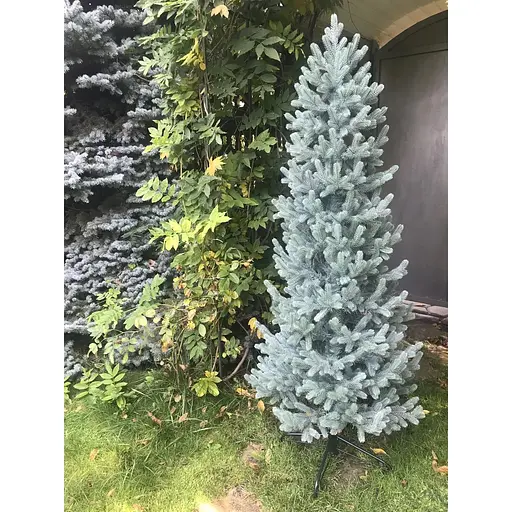 Ялинка Hvoya Traditional Slim лита 180 см блакитна - фото 3