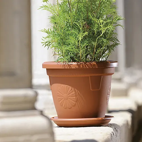 Піддон пластиковий Linea Mediterraneo, 16 см круглий, теракот (83160) - фото 2