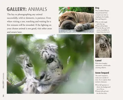 How to Photograph Absolutely Everything - фото 4