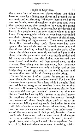 Tropic of Capricorn - фото 3
