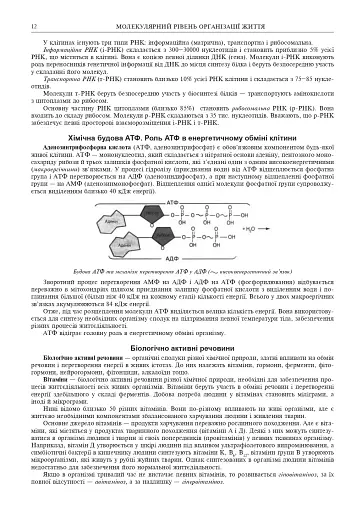 Біологія. ЗНО та НМТ. Комплексне видання. ЗНО та НМТ. 2025 - фото 11