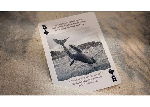 Карти гральні United States Playing Card Company Bicycle Sharks (2273) - фото 4