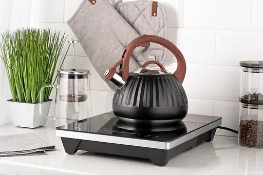 Чайник Ardesto Gemini 2.5 л нержавеющая сталь - фото 2