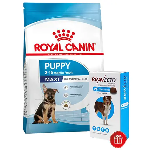 Сухий корм для цуценят великих порід Royal Canin Maxi Puppy з м'ясом птиці і рисом 15 кг + Жувальна пігулка Bravecto від бліх і кліщів для собак з вагою від 20 до 40 кг 1 шт. - фото 1