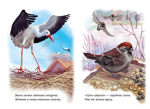 Книга Поруч з нами. Малятам про звіряток. Автор - Григорій Меламед (Ранок) - фото 2